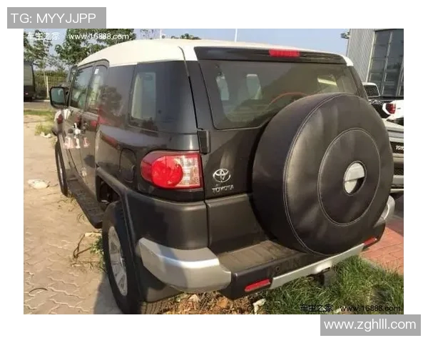 武汉排球队在洲际杯积分榜上以67分稳居第一名展现强劲实力