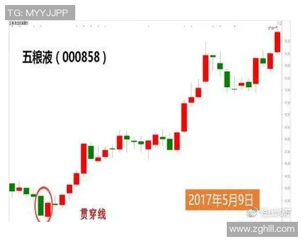 深入分析南京乒乓球队包夹打法的战术特点与实战应用